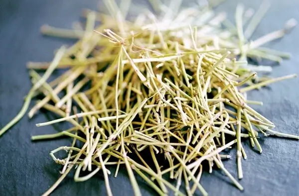 What is Ephedra? What is Ephedra?